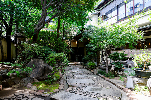 茶道体験 和茶子