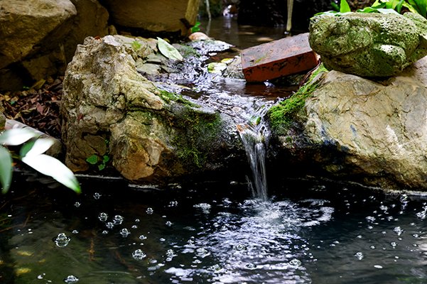茶道体験 和茶子